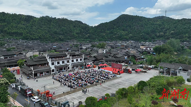 高椅古村“黑饭节”饱了眼福饱口福：观集体婚礼、尝古村黑饭、赏民俗表演(图1)