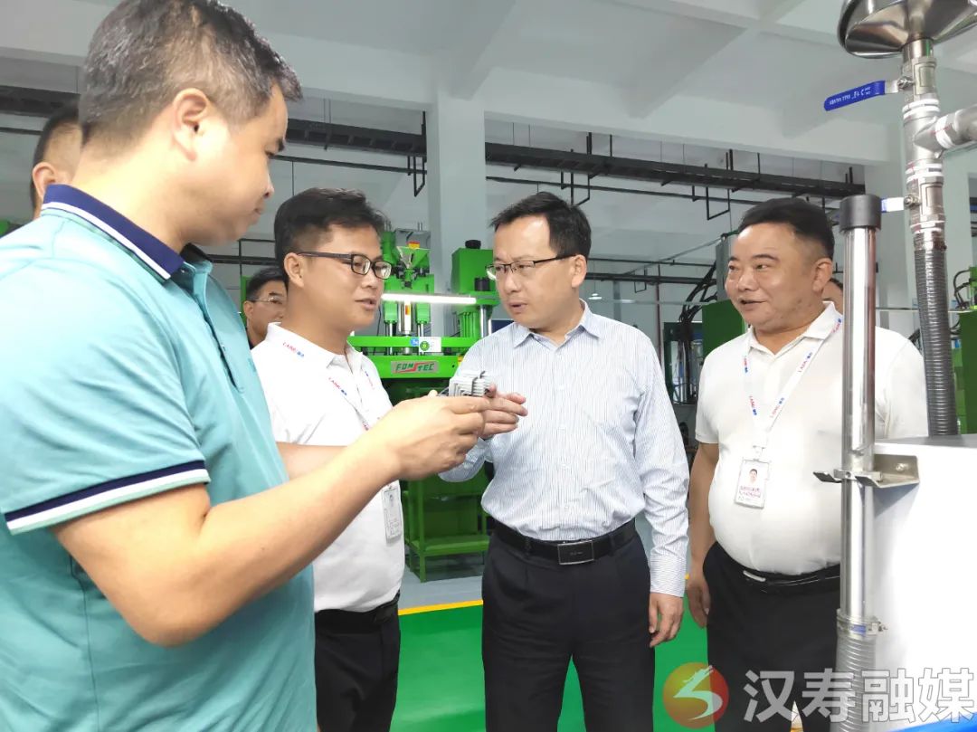王时雨调研汉寿高新区重点项目建设-新湖南