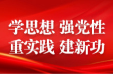 学思想 强党性 重实践 建新功丨省文旅厅：求真务实，为民办实事