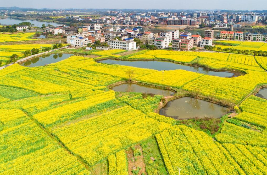 每年推出30个乡村游网红打卡地 湖南十九部门印发《关于进一步推动文化和旅游赋能乡村振兴的若干措施》