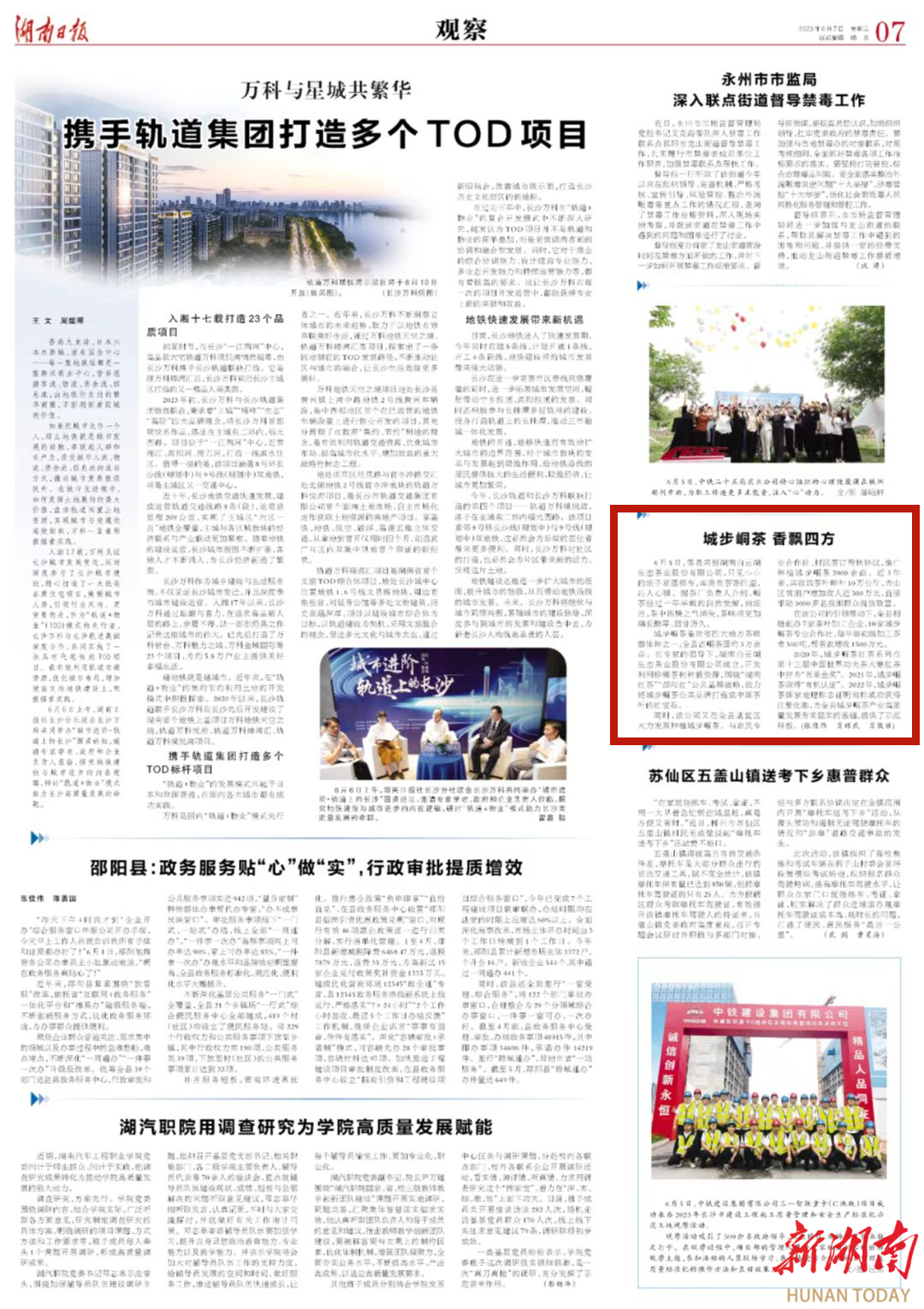 城步峒茶 香飘四方_邵阳头条网