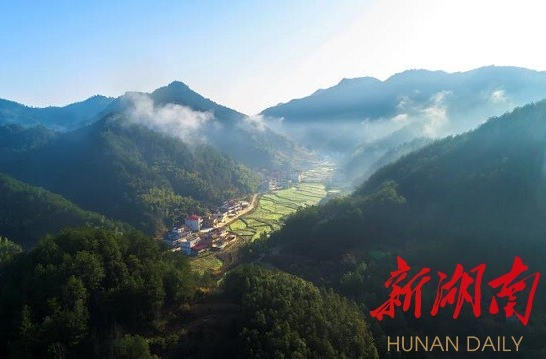 娄底市林业局迅速贯彻落实全市林长会议精神