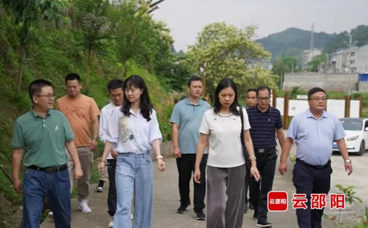 水利部水土保持司调研组到绥宁调研小流域综合治理提质增效项目_邵阳头条网