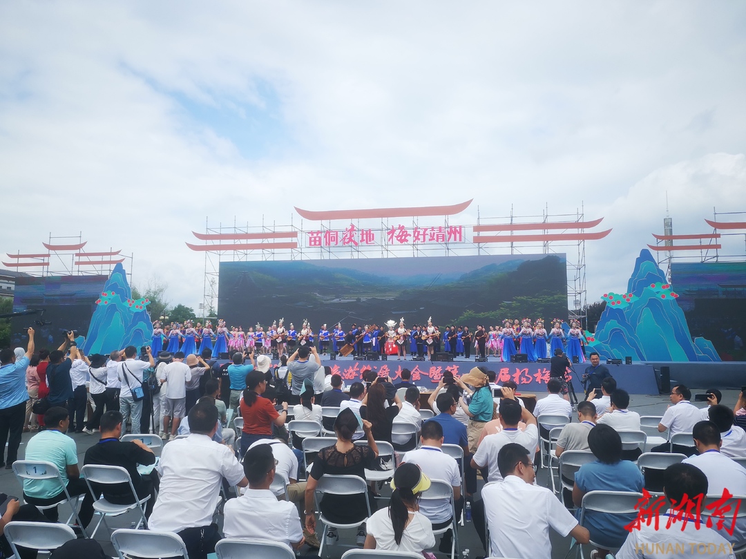 以梅为媒以节会友靖州举办第十一届杨梅节