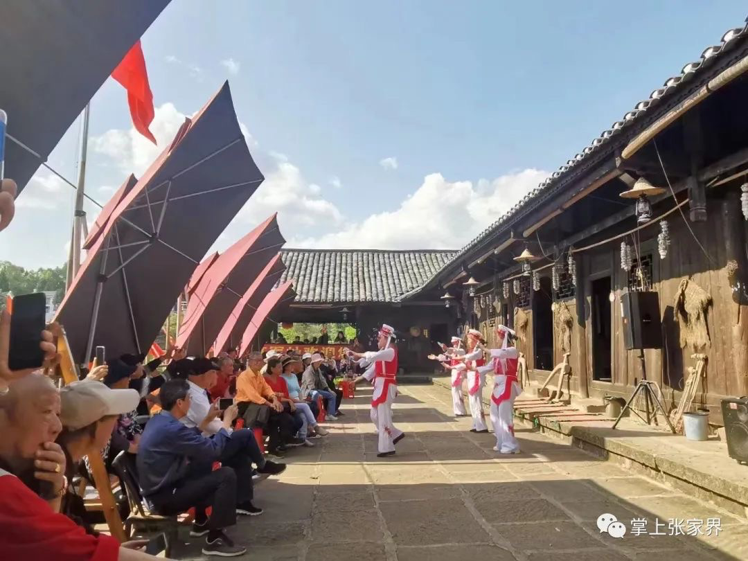 桑植县刘家坪乡：深挖产业潜力 助力乡村振兴 - 张家界 - 新湖南