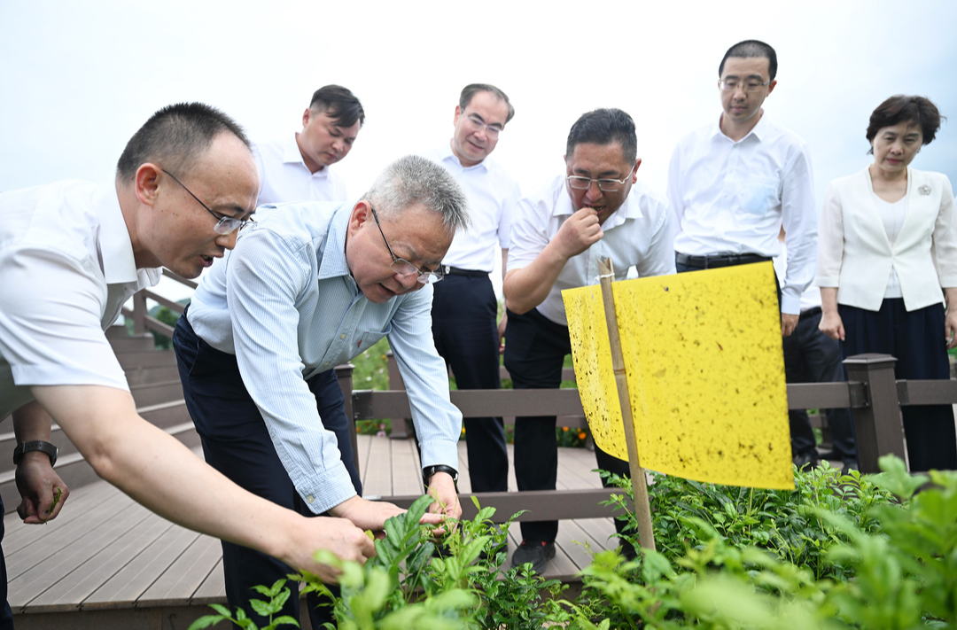 沈晓明在张家界调研：深化全域旅游 坚定走生态美产业兴百姓富的高质量发展之路