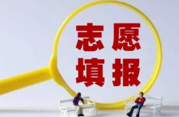 高考志愿填报，这些热点问题需要关注
