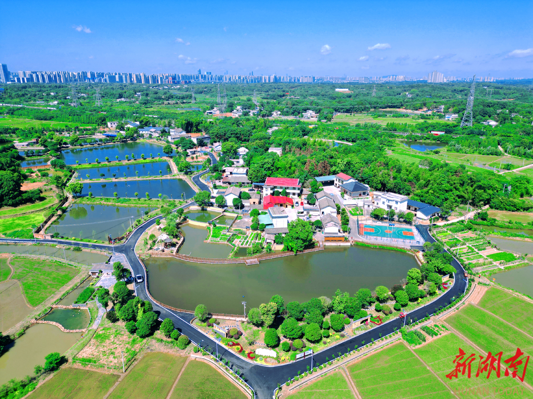 图集走一起看长沙县和美乡村