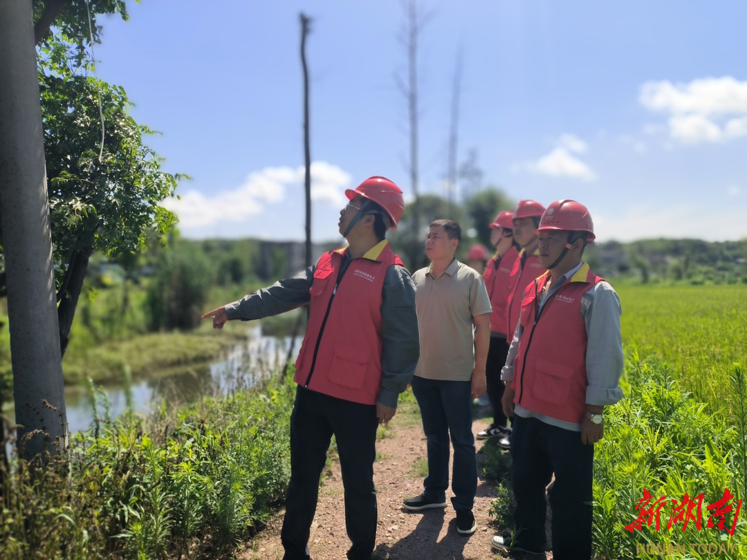 长沙含浦街道:全力抗旱保民生,"及时电"为农田灌溉送来"及时雨"