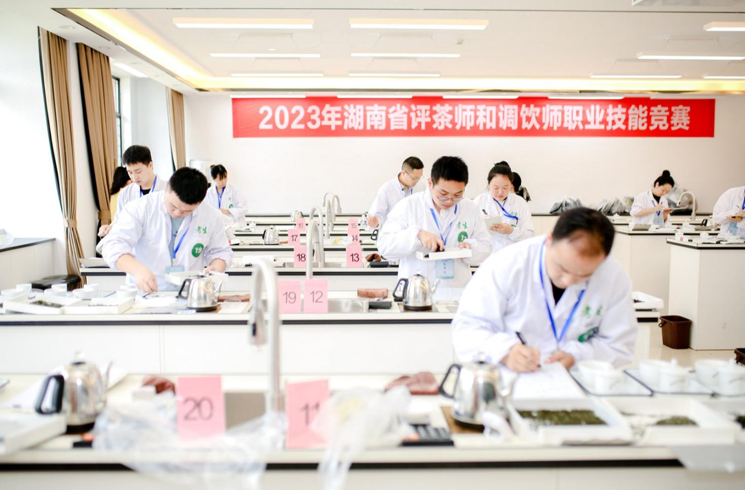 匠心能手，2023年湖南省评茶师和调饮师职业技能竞赛圆满收官