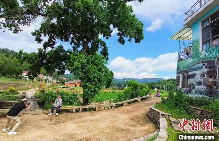 19国华媒代表探访湖南“艺术乡村”: 颠覆对传统农村的印象和认知