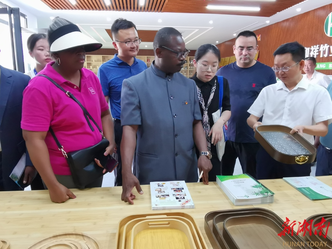 喀麦隆驻华大使馆参赞点赞"益阳造"竹餐盘和艾草制品 - 新湖南客户端