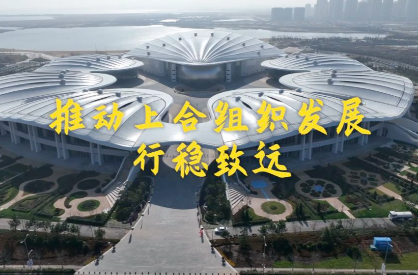 推动上合组织发展行稳致远