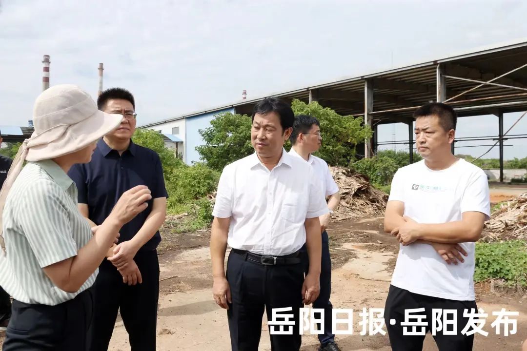 岳阳市长督导突出生态环境问题整改工作