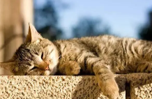 90后已经开始“晒背”了，祛寒湿、缓解经期疼痛？晒背真的这么神奇吗？专家解答