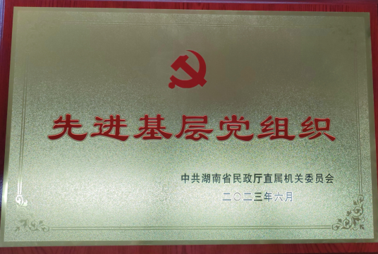 湖南省福彩中心党总支获评“先进基层党组织”