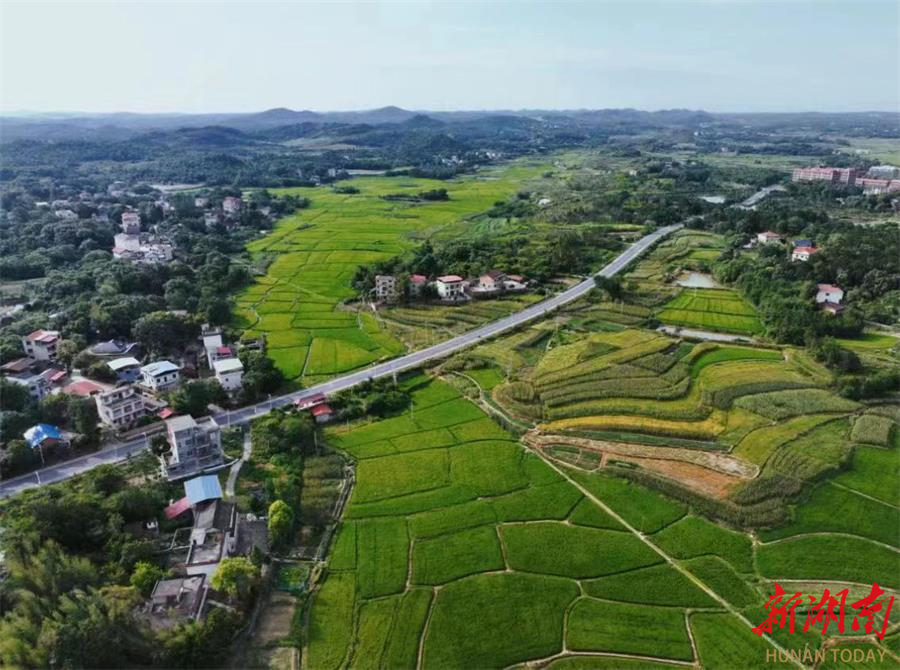 东安端桥铺镇以三点带三新开创人居环境整治新局面