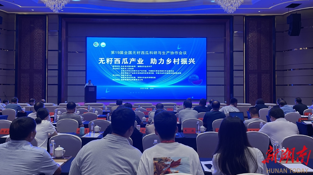 第19届全国无籽西瓜科研与生产协作会议在邵召开_邵阳头条网