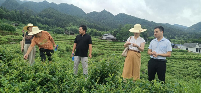 奇异果体育铸牢中华民族共同体意识湖南科大这个研究基地在永顺县授牌工作站(图2)