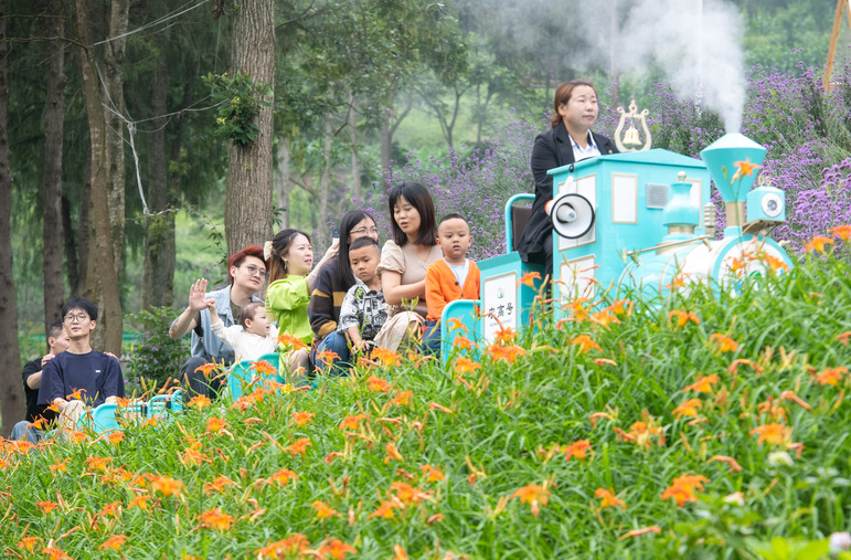 暑期研学旅游热度上涨203%，这些地方最热门！一景区禁止研学机构开展活动？