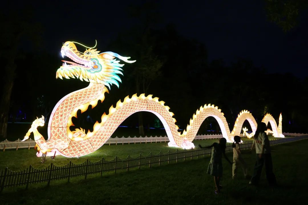 可以互动的光影秀！“龙”文化光影秀点亮龙潭公园
