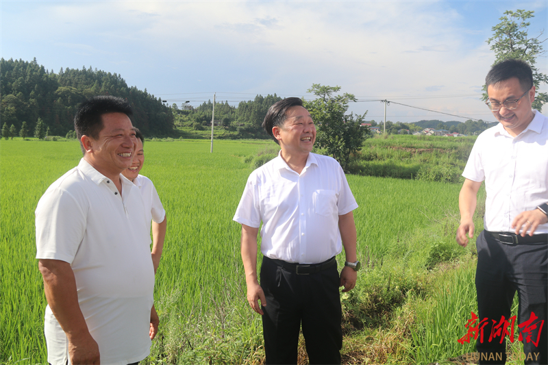 唐成调研防汛抗旱及开展巡田巡林巡河工作