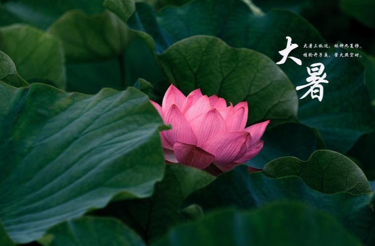 一图读懂｜今天！夏季最后一个节气！