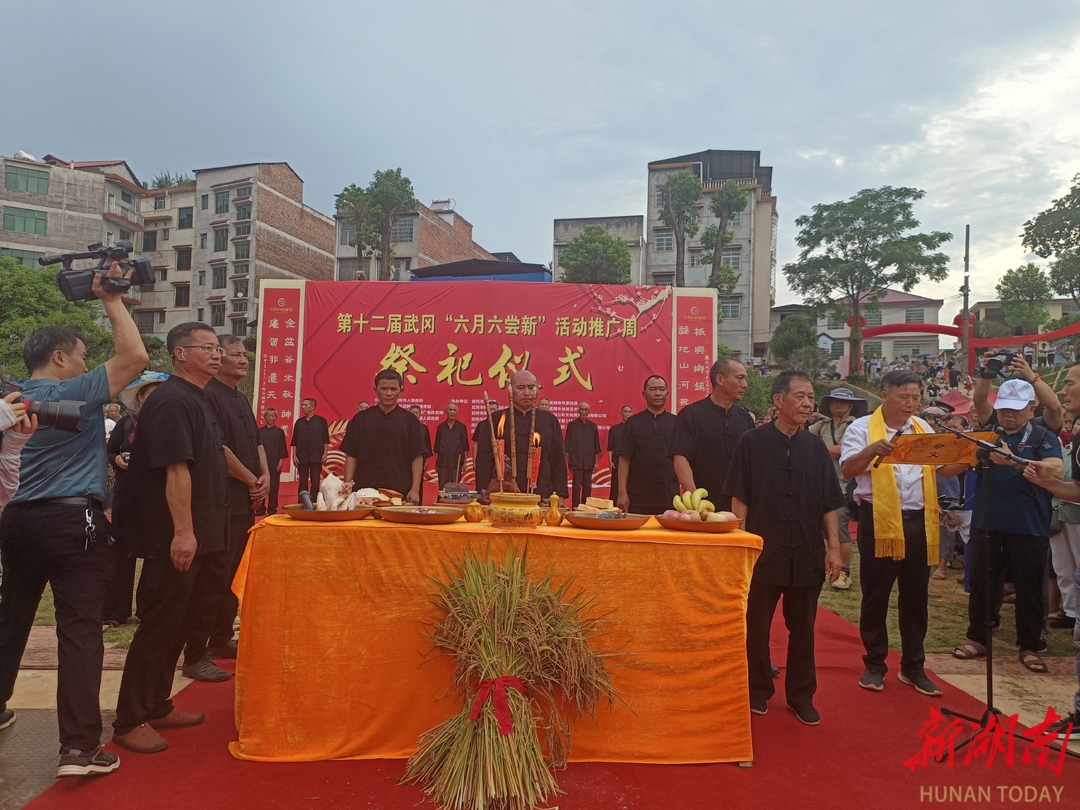 尝新祭祀祈丰收 非遗展演贺丰年  ——武冈市“六月六尝新节”活动见闻_邵商网