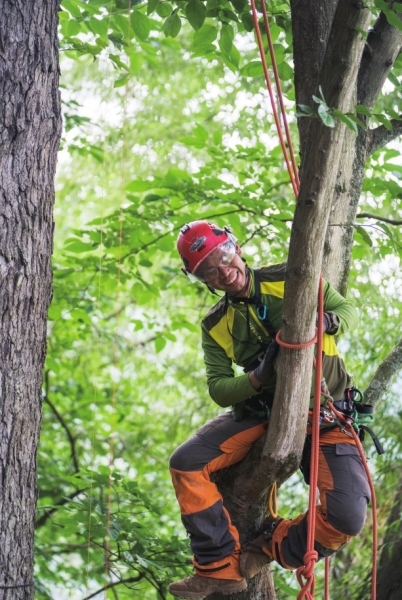 徐潇是经国际树木学会认证的攀树师。 徐潇是经国际树木学会认证的攀树师。