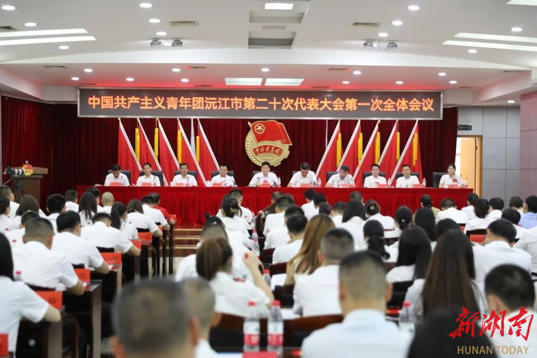团沅江市召开第二十次代表大会