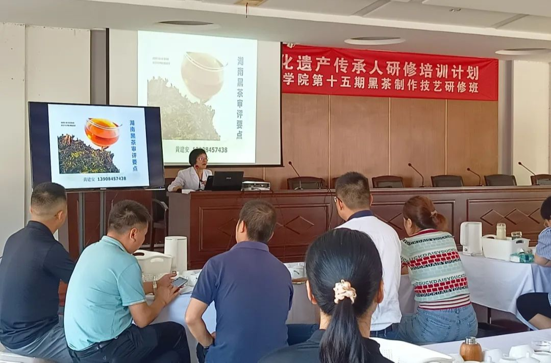中国非遗传承人研修培训在湘益成功举办