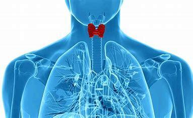 甲状腺肿瘤呈年轻化趋势，专家传授五招自查