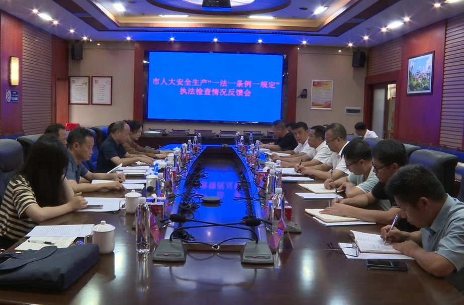 永州市人大常委会来道县开展安全生产“一法一条例一规定”执法检查