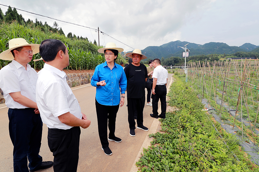 陈华到花垣县、保靖县调研乡村振兴和安全生产等工作