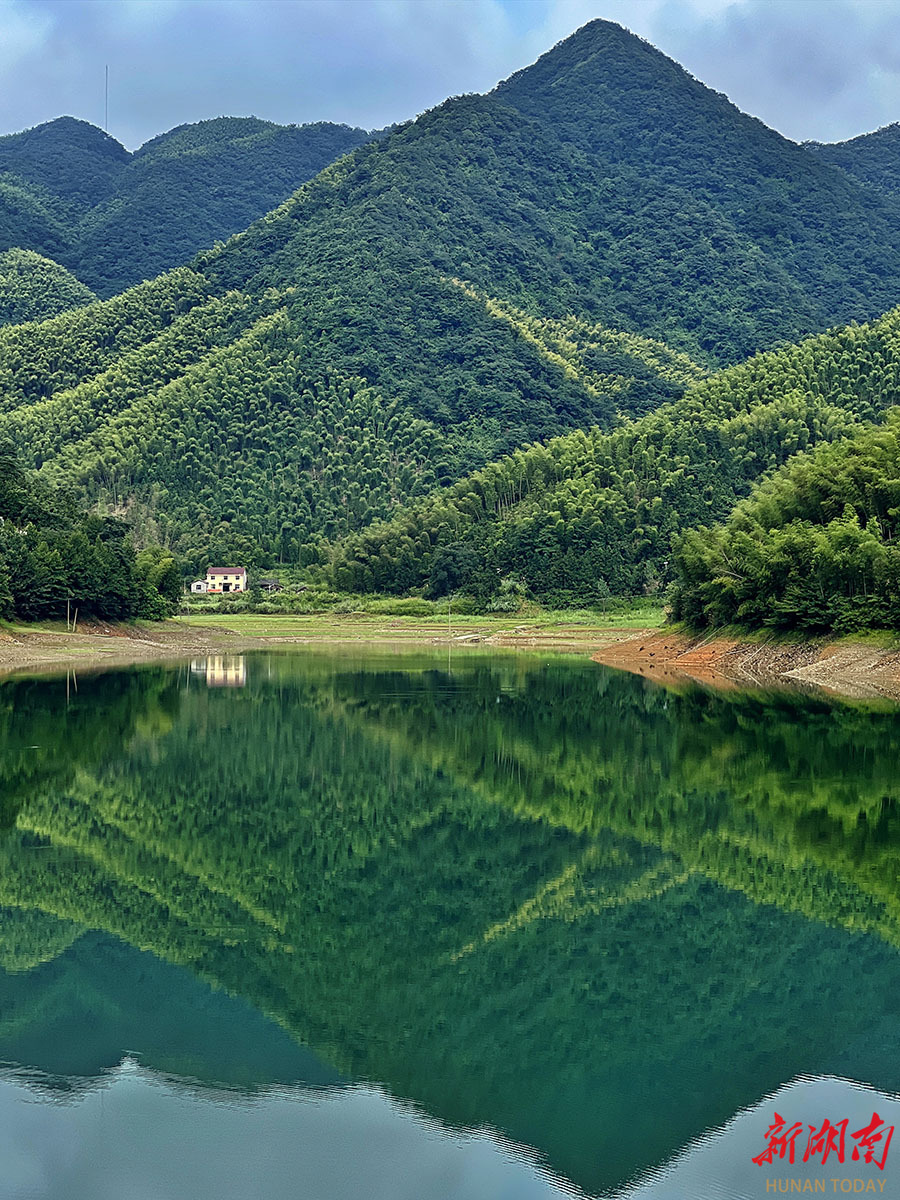 青山绿水生态美