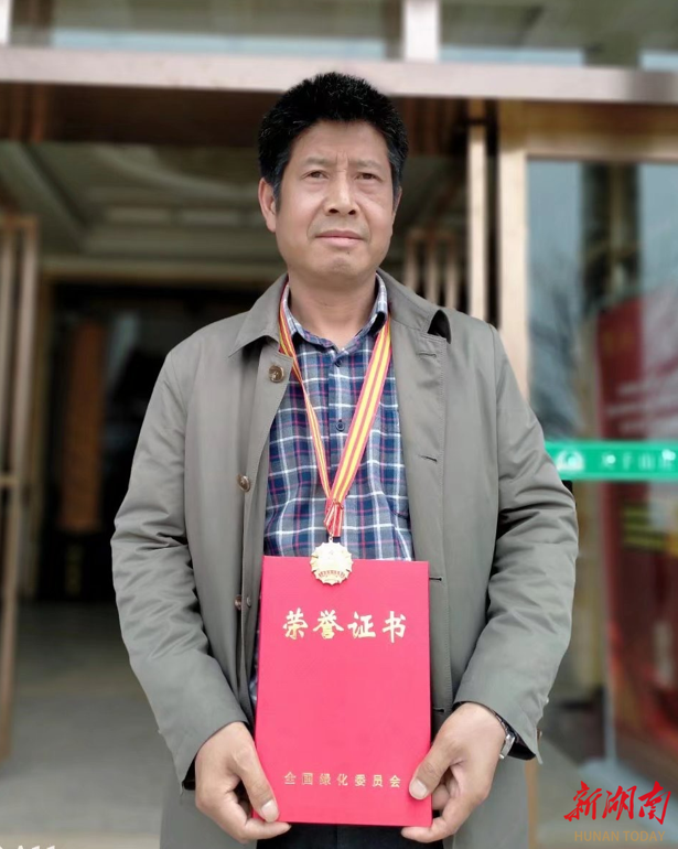 湖南日报|安化明星林业开发专业合作社理事长陈训庆坚守大山31年