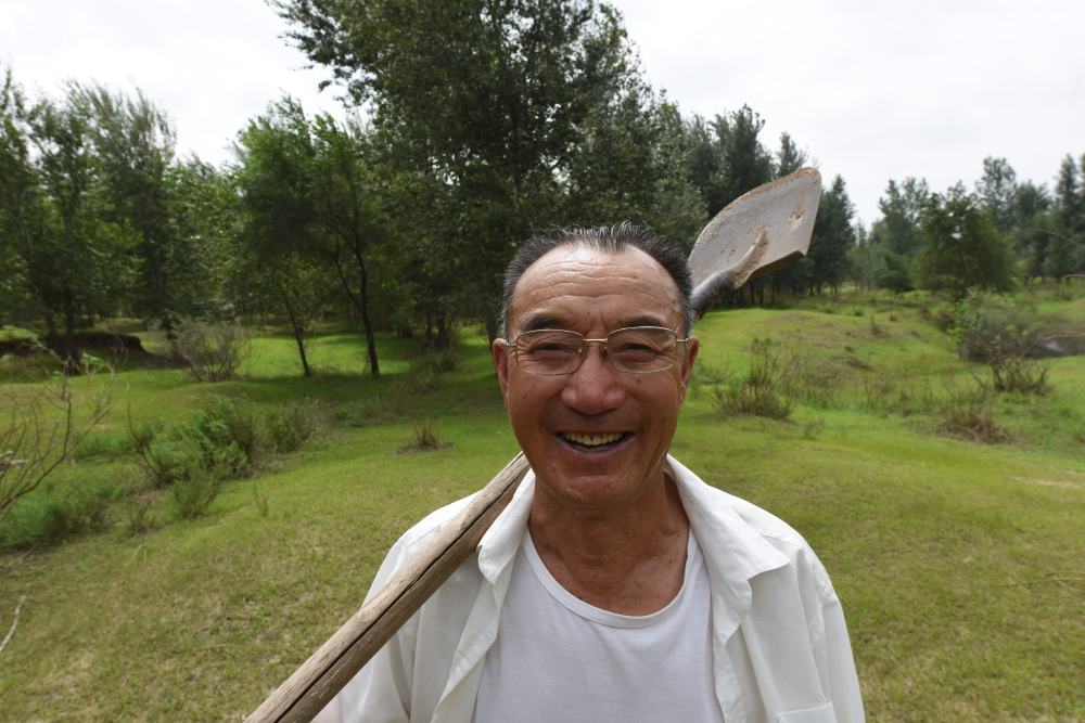 从荒漠到林海:73岁蒙古族老人百顺的治沙故事-新湖南