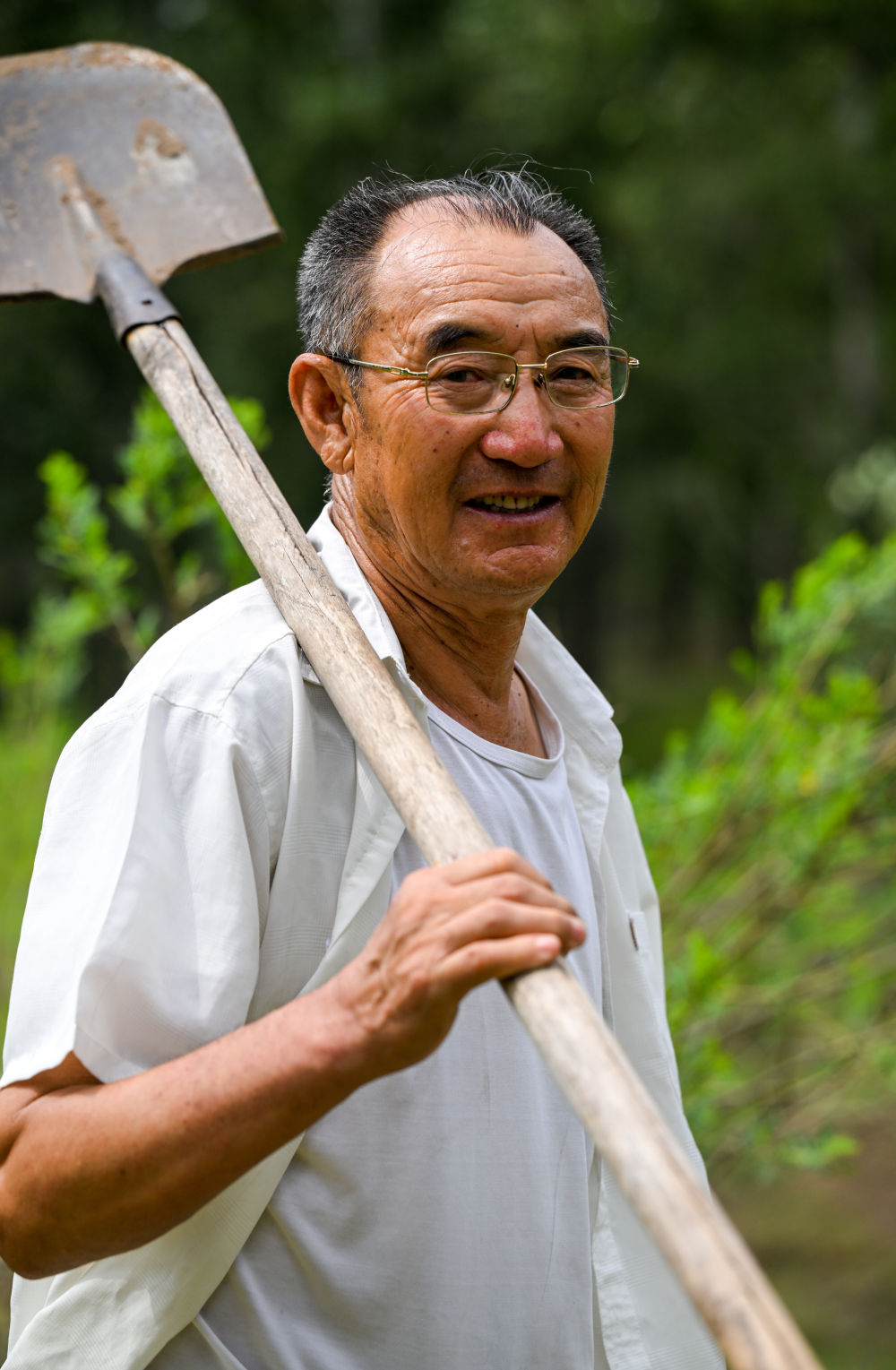 从荒漠到林海73岁蒙古族老人百顺的治沙故事