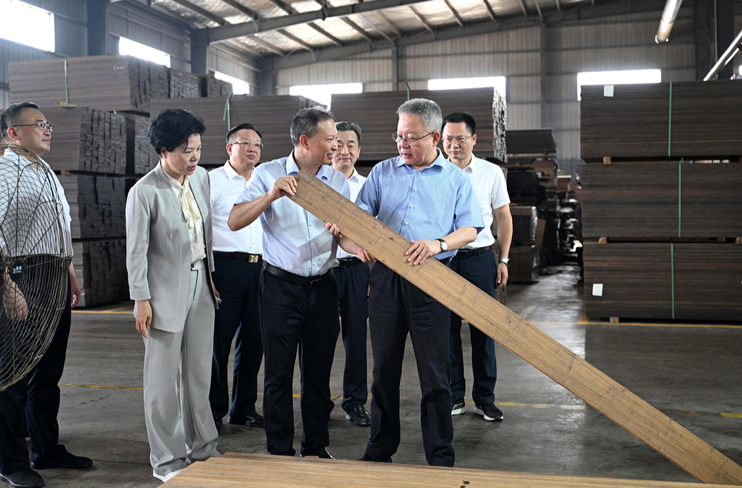 沈晓明在桃江调研：着力锻长板补短板扬优势 努力走出县域经济高质量发展新路子