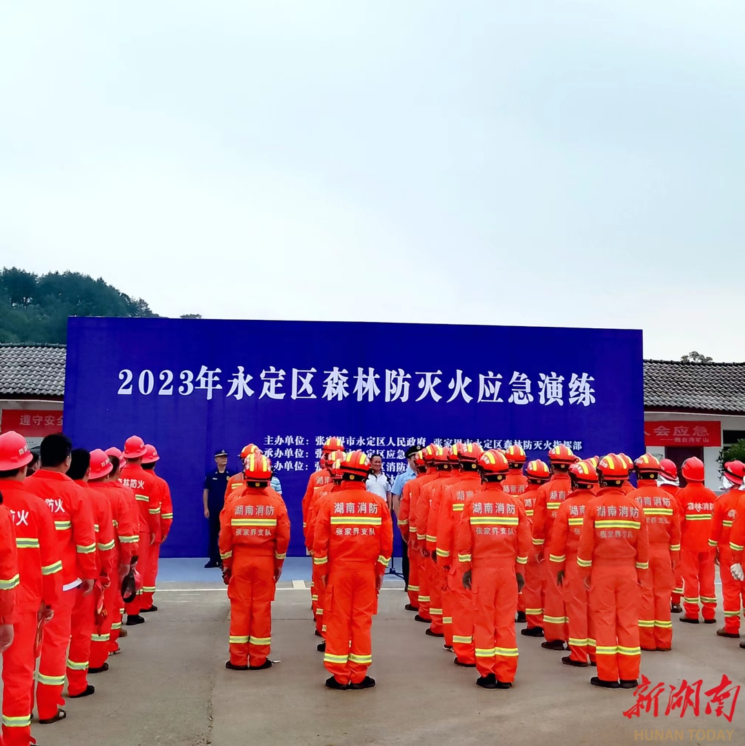 广告设计行业动态：创意与时效性的碰撞