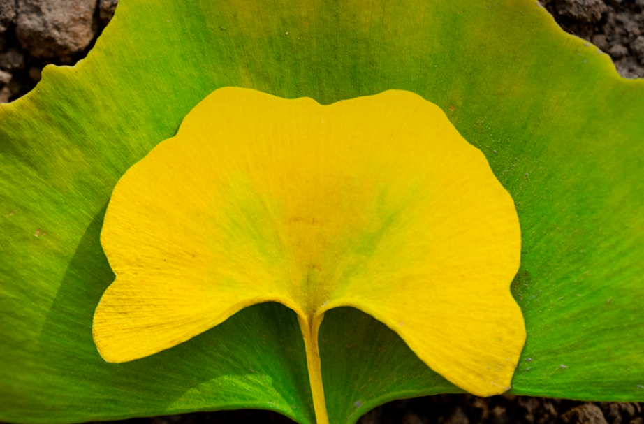 立秋不代表酷热终结！全国盼秋凉地图看哪里暑热将消