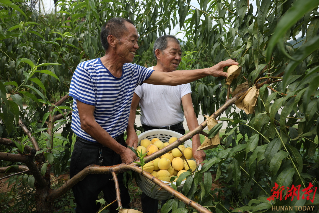宁乡市龙田镇:邻长架起邻里"连心桥" - 新湖南客户端 - 新湖南