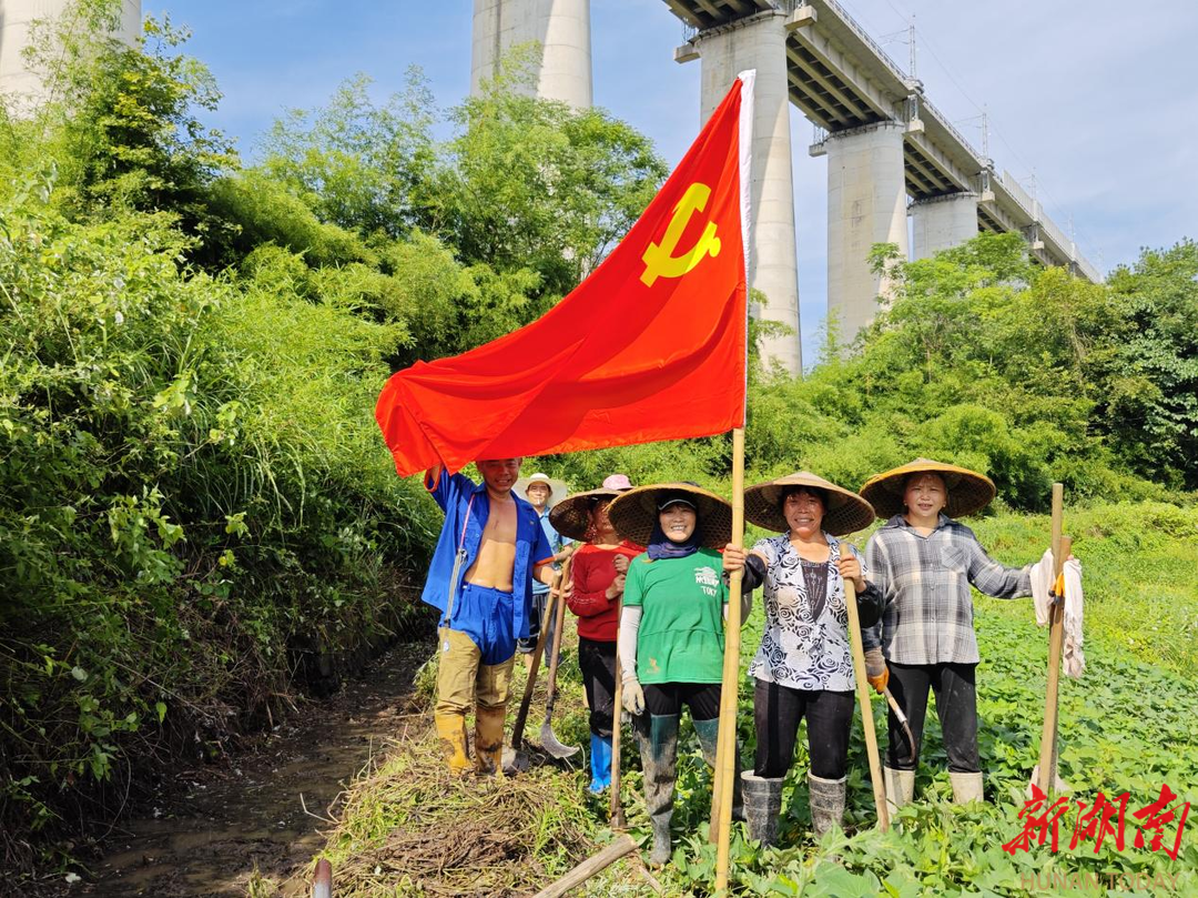 邵阳县岩口铺镇:抗旱减灾守民生 党员代表齐上阵_邵阳头条网