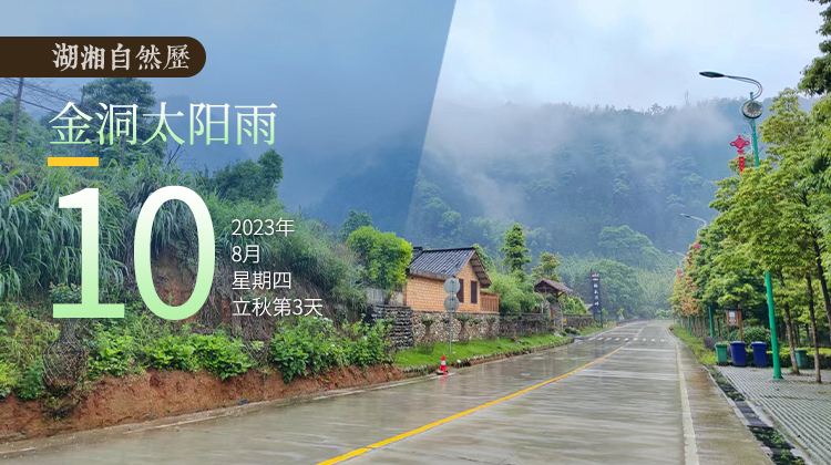 湖湘自然历｜气象万千⑩快去金洞，太阳在那会用水“撩”你