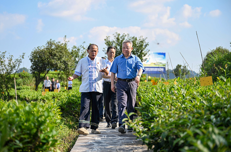 沈晓明在古丈调研：改革创新 久久为功 推动县域经济高质量发展