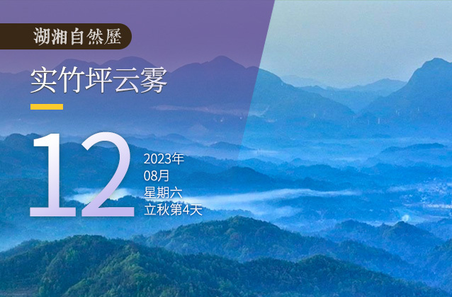 湖湘自然历丨气象万千⑫雾里观物，草木皆不同