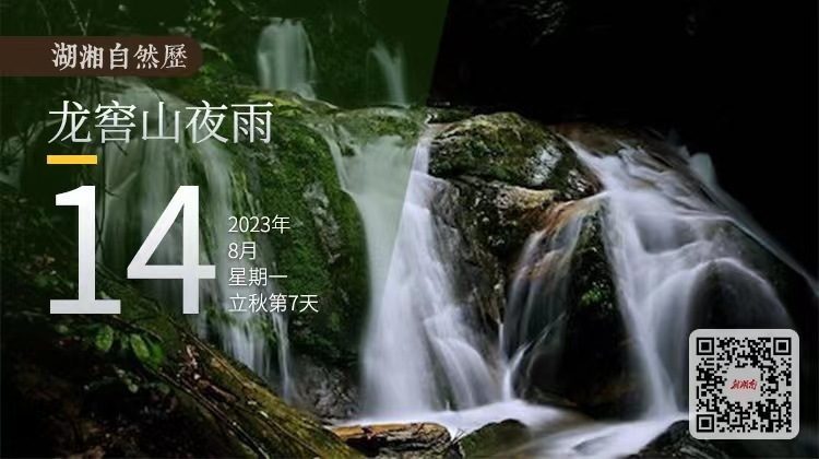 湖湘自然历｜气象万千⑭静静地，听一夜落雨