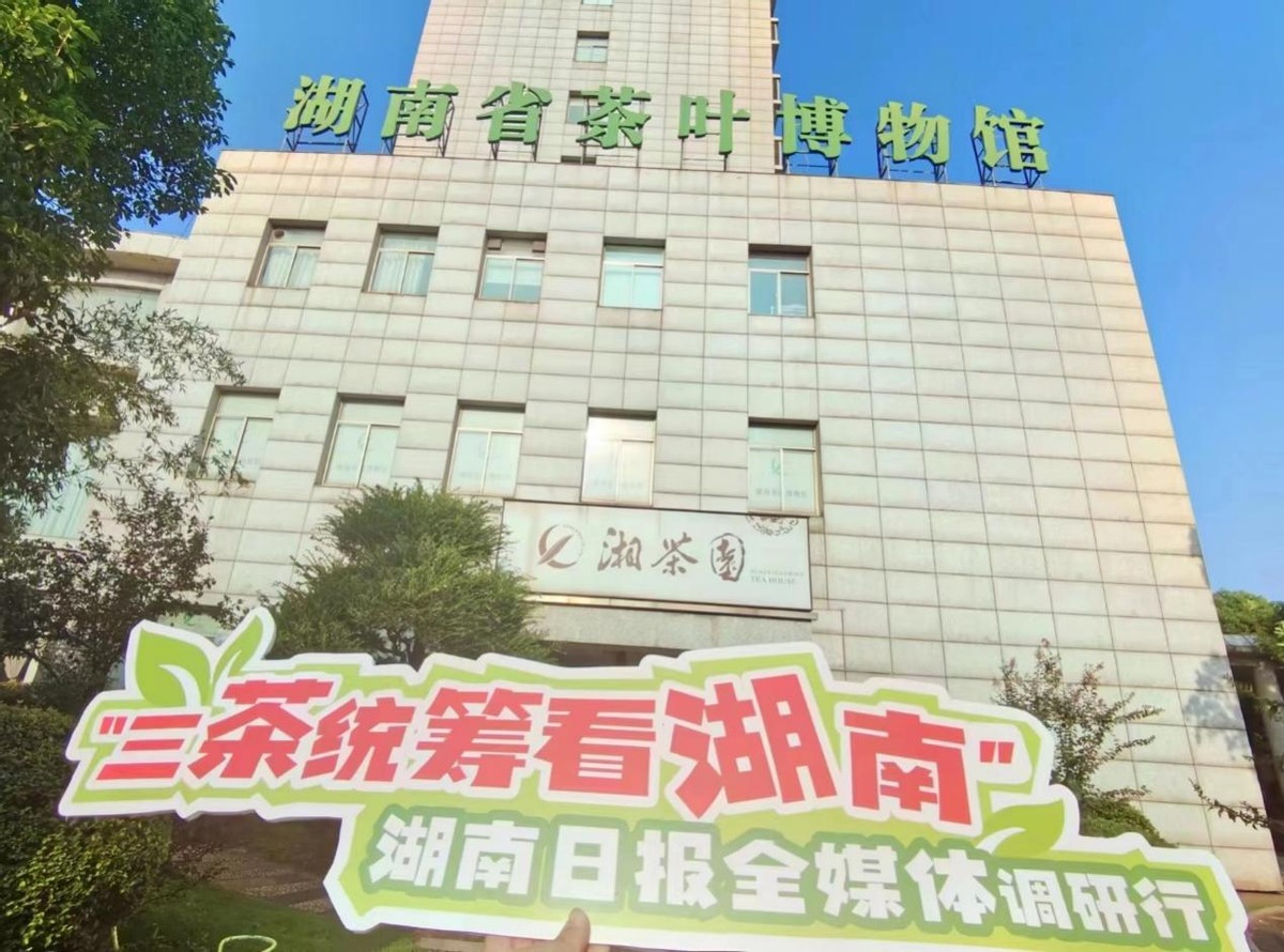 湖南省茶业集团：湘茶标兵守正创新
