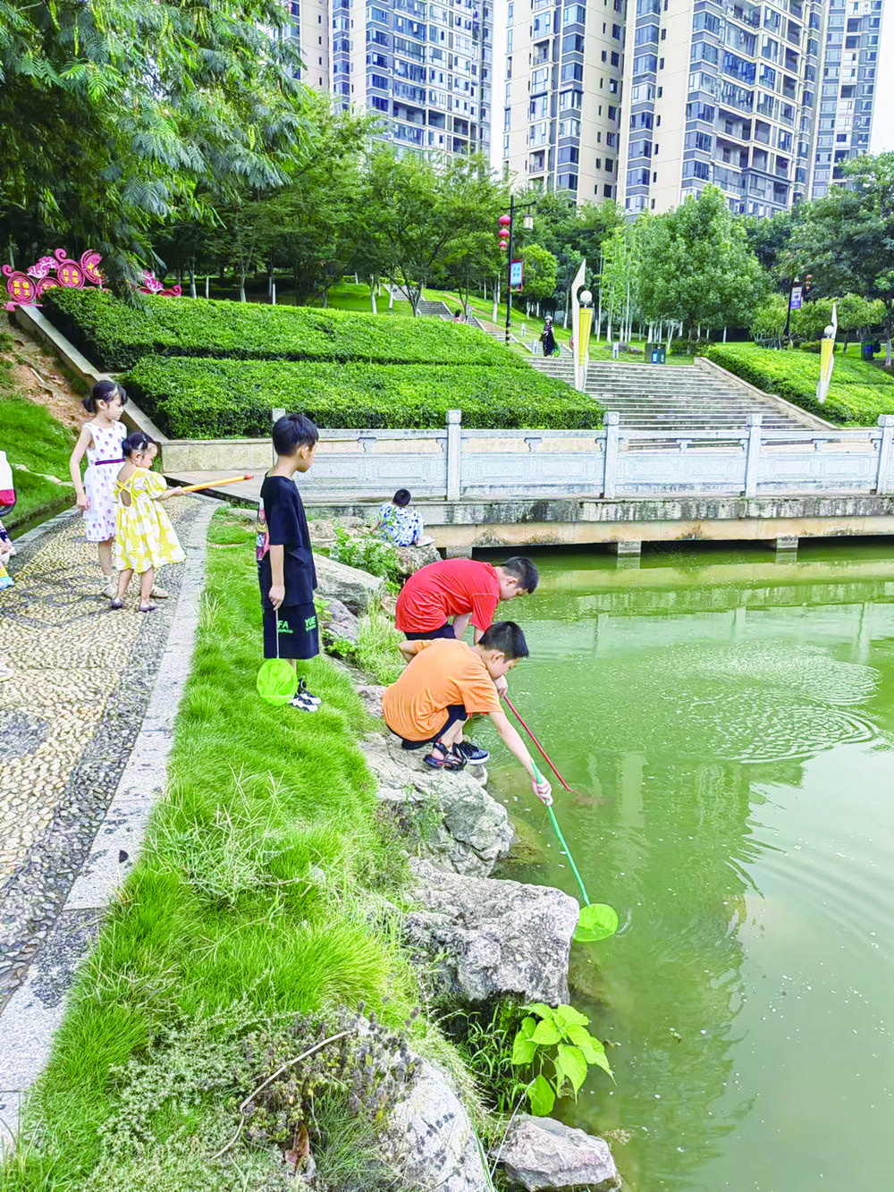 暑假期间，邵阳市区西苑公园成了孩子们游玩的好去处_邵商网