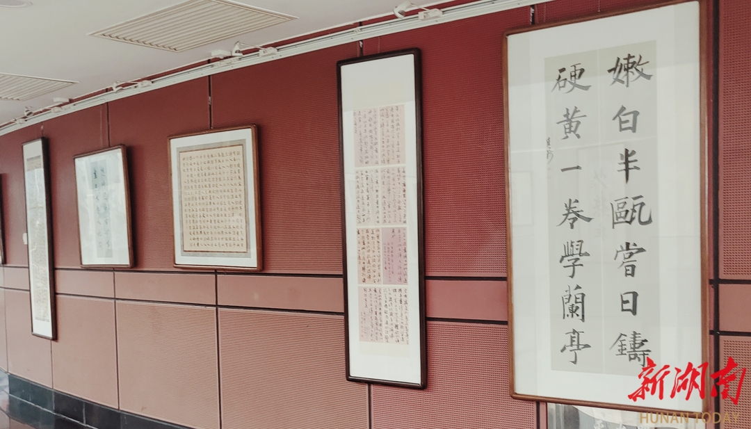 新展丨全国16位书法学子长沙展风采 - 文体动态 - 新湖南